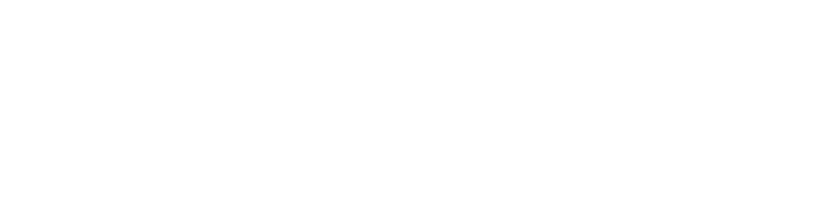ALPİN LED